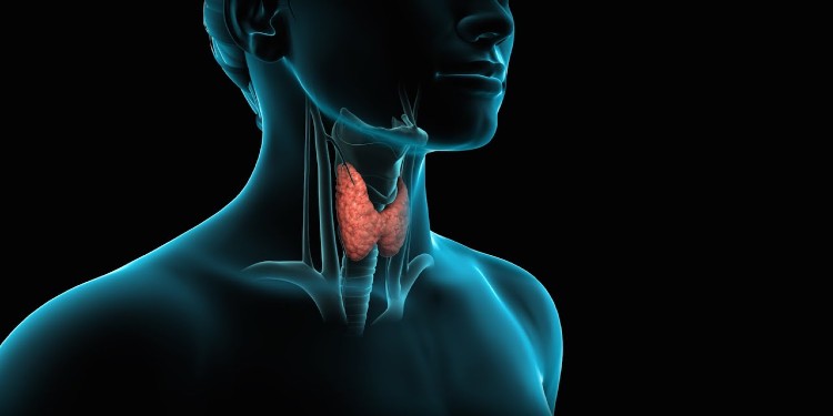 Thyroid Cancer